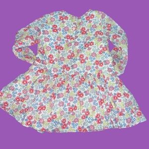 Nwot precious long sleeve, floral, toddler  dress by baby Gap